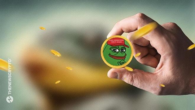 pepe价格