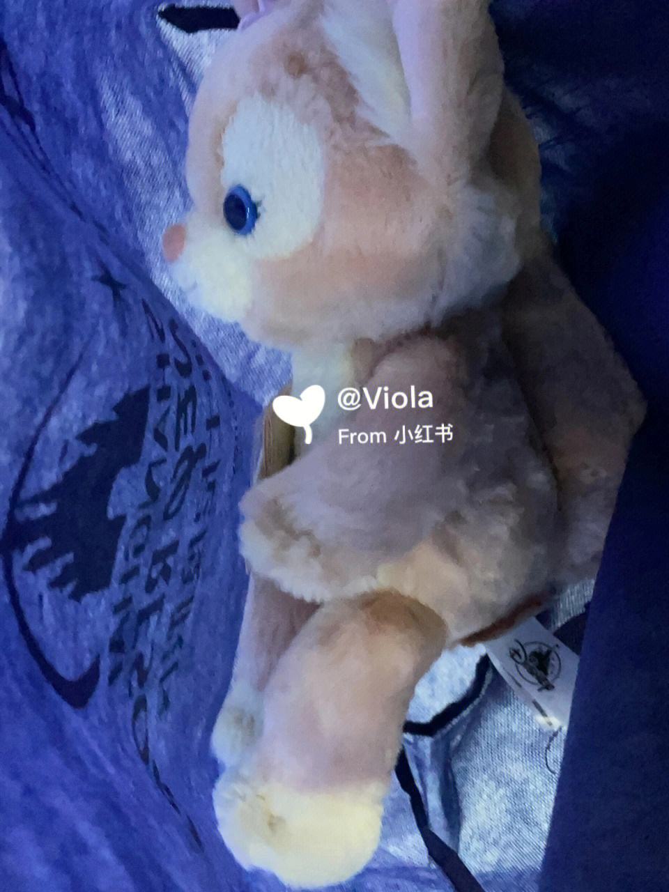 小狐狸钱包打不开薄饼怎么回事呀_小狐狸钱包打不开薄饼怎么回事